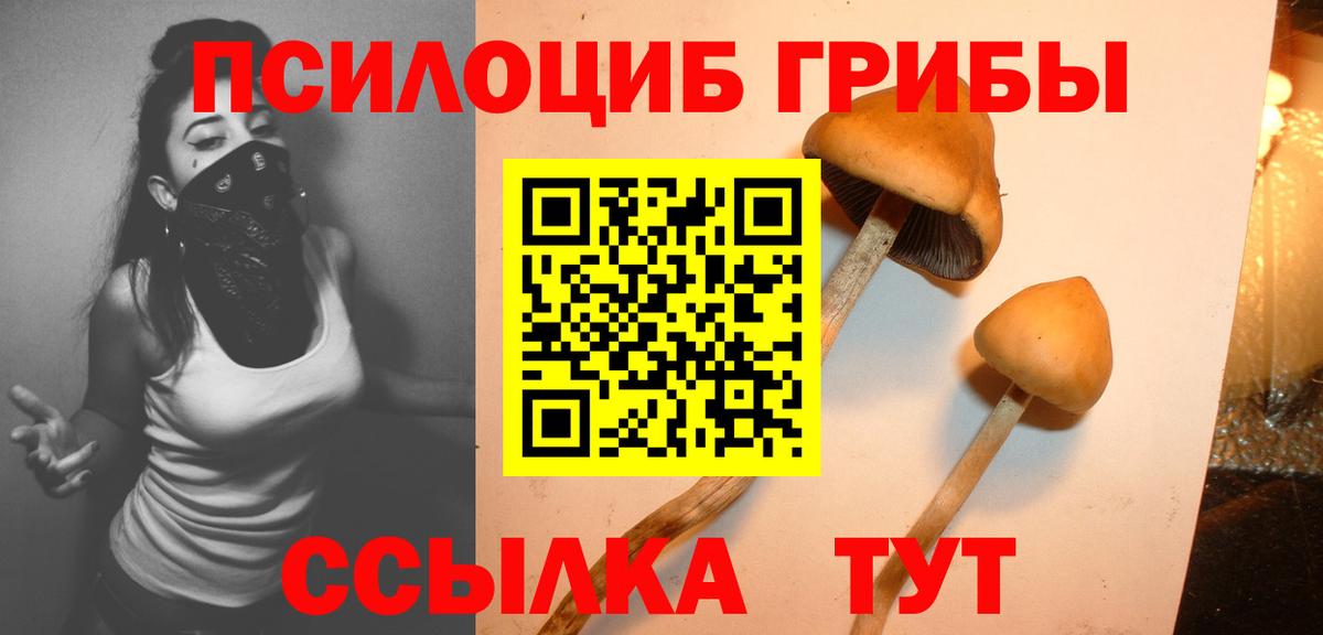 Вольск  наркошоп  Галлюциногенные грибы Psilocybine cubensis  Вход с VPN  Псилоцибиновые грибы Psilocybe 